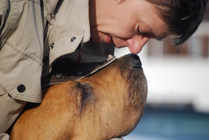 Geruchssinn Des Hundes National Bloodhound Association Of Switzerland